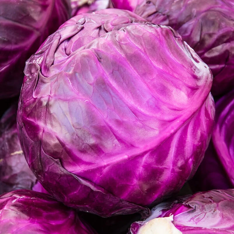 Капуста краснокочанная (фиолетовая)