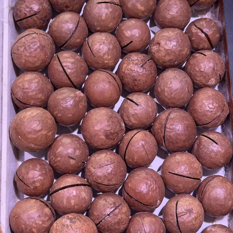 Орех Макадамия в скорлупе (с ключиком в комплекте)