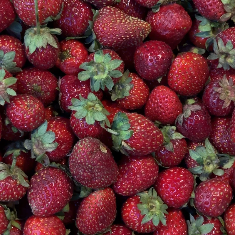 Земляника садовая десертная (ароматная)