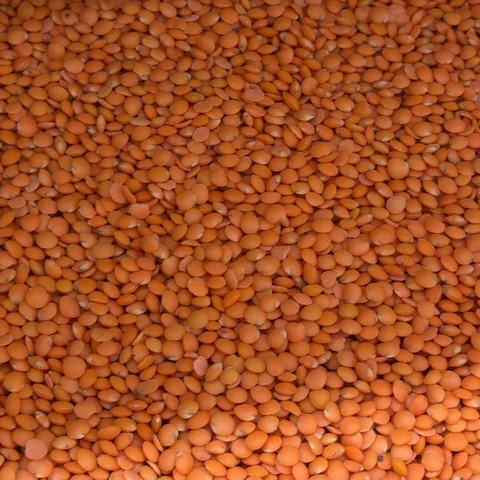Чечевица красная (Футбол / Персидская быстрой варки)